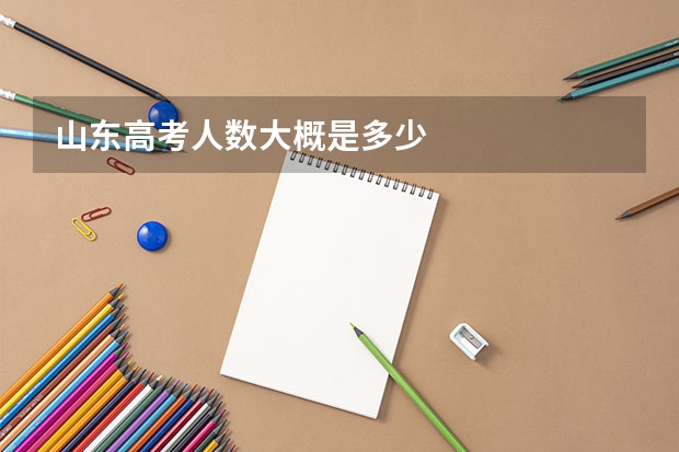 山东高考人数大概是多少