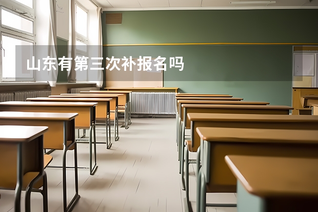 山东有第三次补报名吗