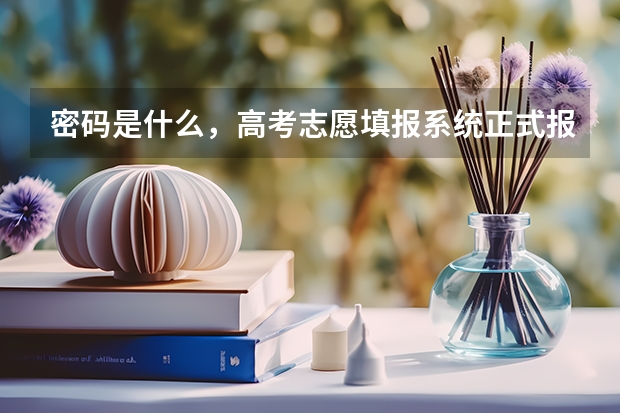 密码是什么，高考志愿填报系统正式报名时的初始密码