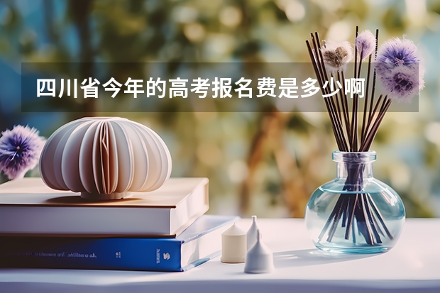 四川省今年的高考报名费是多少啊