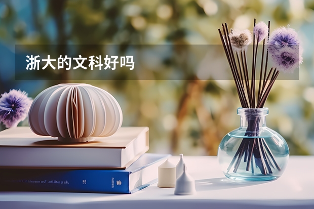 浙大的文科好吗