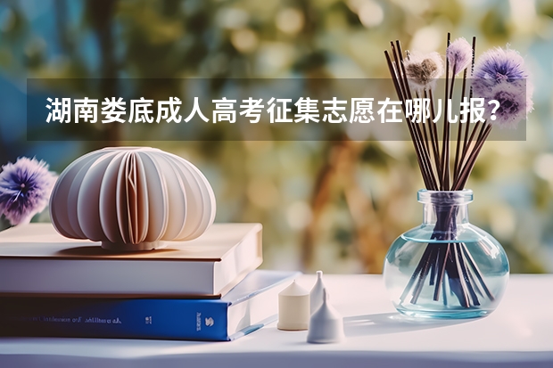 湖南娄底成人高考征集志愿在哪儿报? 湖南娄底高考总分