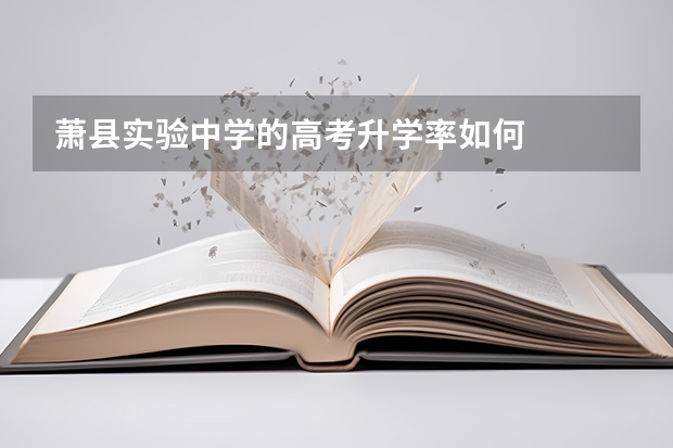 萧县实验中学的高考升学率如何