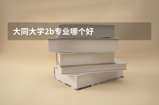 大同大学2b专业哪个好
