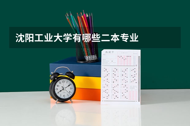 沈阳工业大学有哪些二本专业