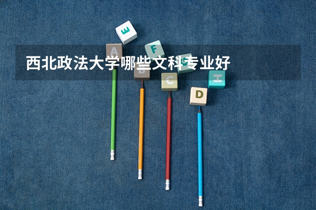 西北政法大学哪些文科专业好