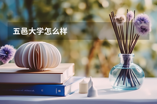 五邑大学怎么样