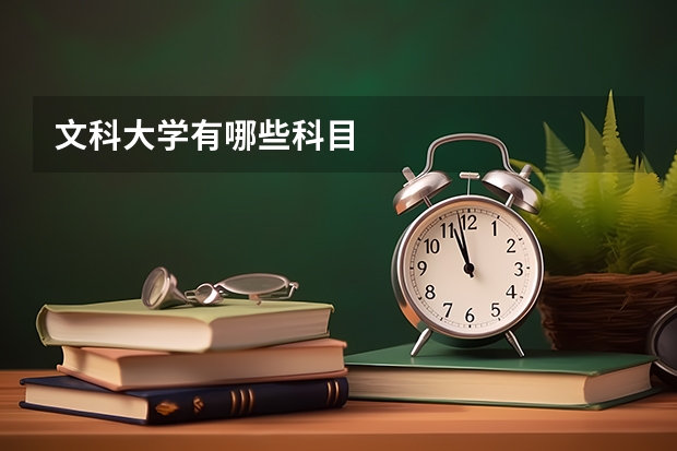 文科大学有哪些科目