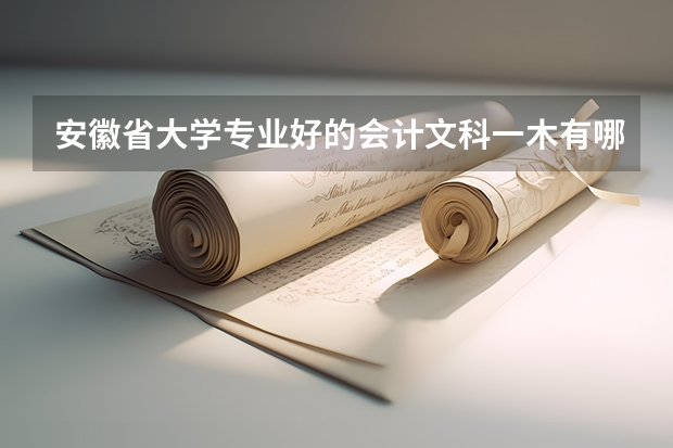 安徽省大学专业好的会计文科一木有哪些