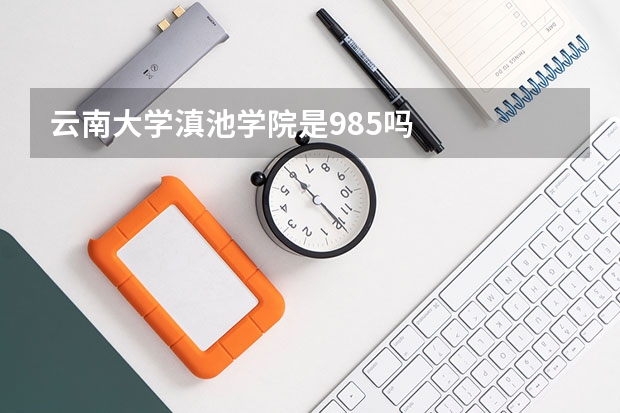 云南大学滇池学院是985吗