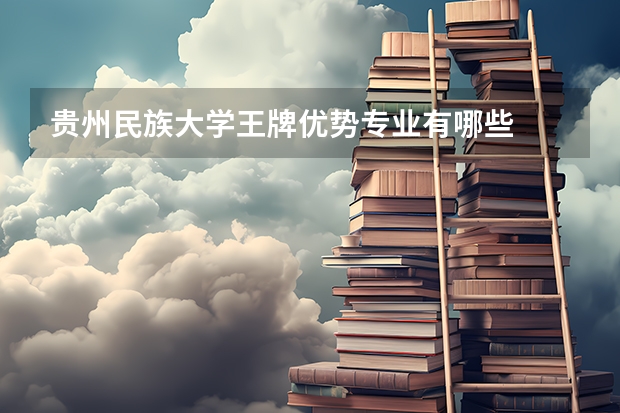 贵州民族大学王牌优势专业有哪些