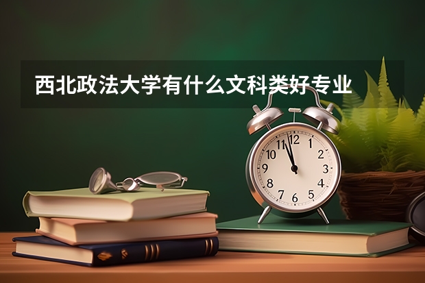 西北政法大学有什么文科类好专业