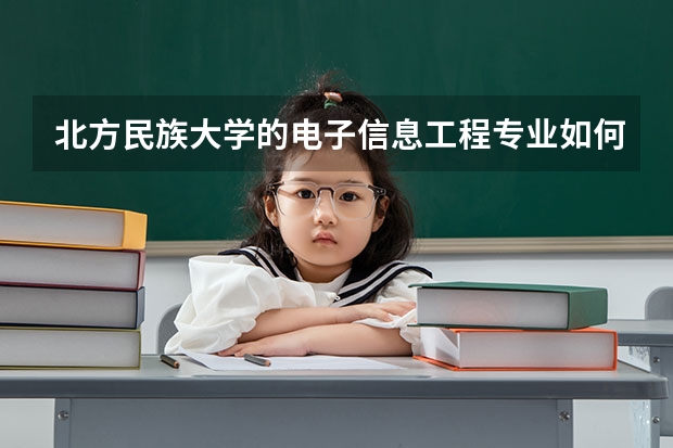 北方民族大学的电子信息工程专业如何啊