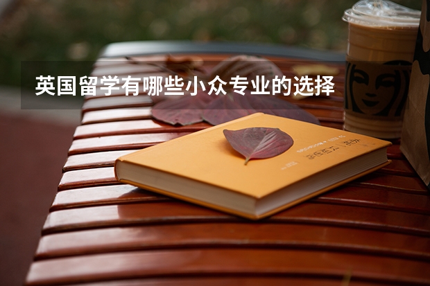 英国留学有哪些小众专业的选择