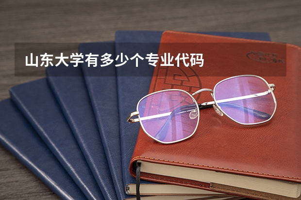 山东大学有多少个专业代码
