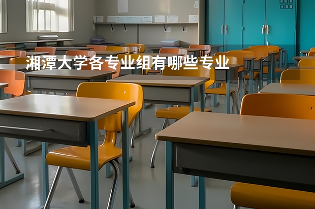 湘潭大学各专业组有哪些专业