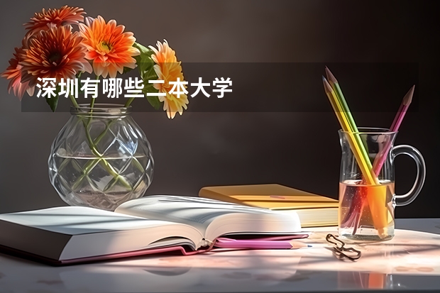 深圳有哪些二本大学