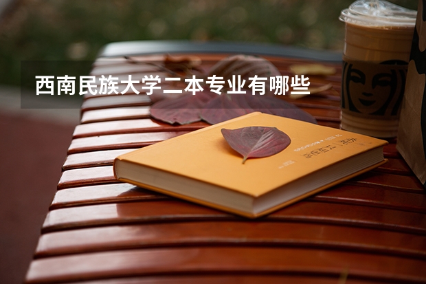 西南民族大学二本专业有哪些