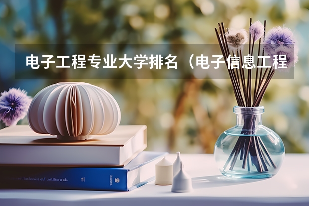 电子工程专业大学排名（电子信息工程专业大学排名）
