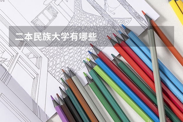 二本民族大学有哪些