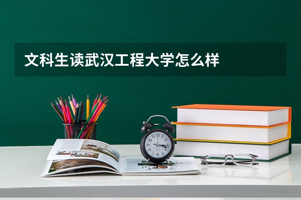 文科生读武汉工程大学怎么样