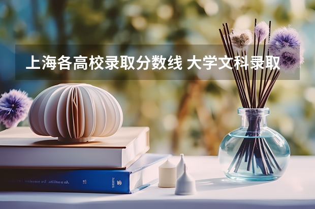 上海各高校录取分数线 大学文科录取线
